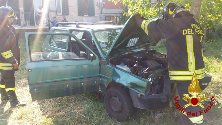 Anziano contro un albero: dramma sfiorato a Sant’Angelo dei Lombardi