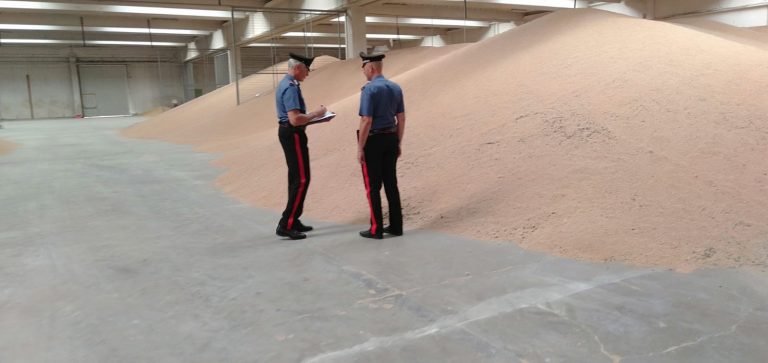Piccioni e topi morti nel deposito: sequestrati 45000 quintali di grano