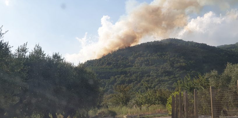 Ferragosto di fuoco, roghi ad Avella e Cervinara