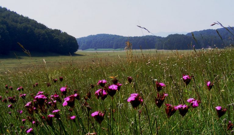 Al via i lavori per il Piano Preliminare del Parco dei Monti Picentini, Parco del Partenio, Ente Riserve Naturali Foce Sele-Tanagro e Monti Eremita-Marzano