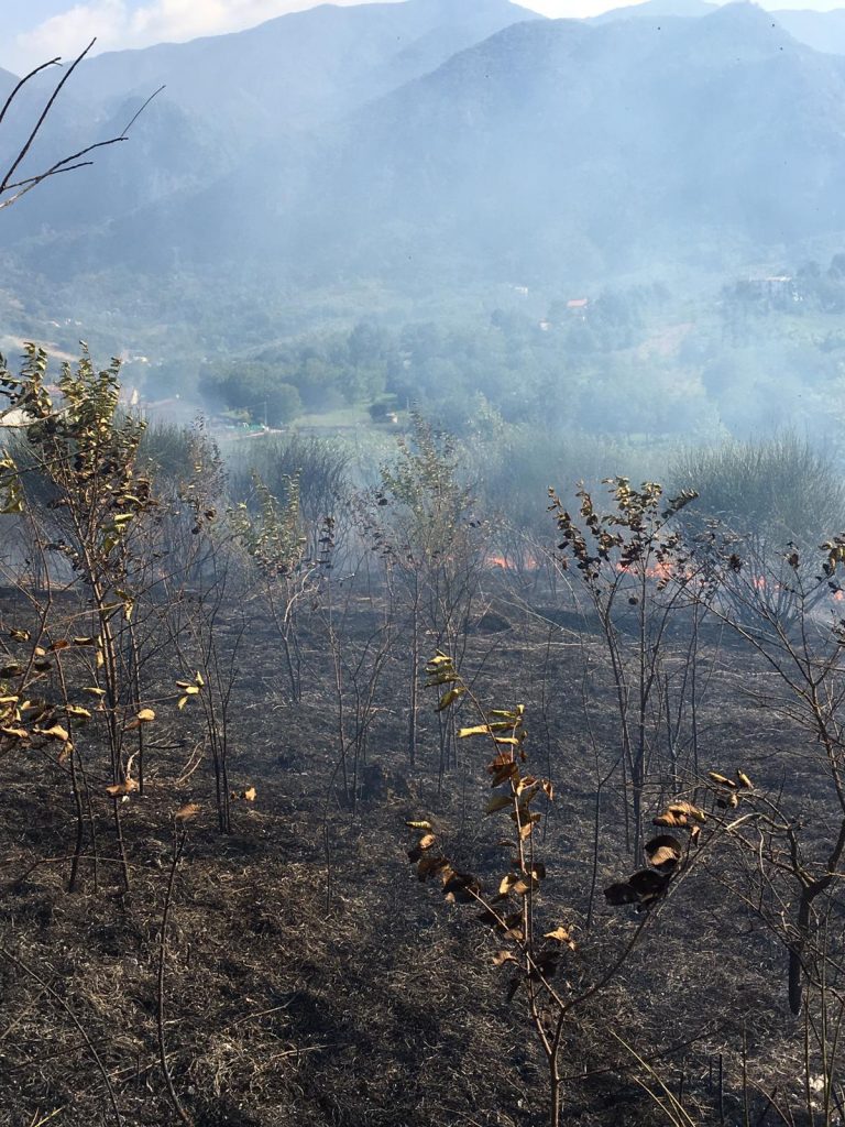 VIDEO/ Domenica di fuoco in Irpinia: roghi mandano in fumo boschi e terreni