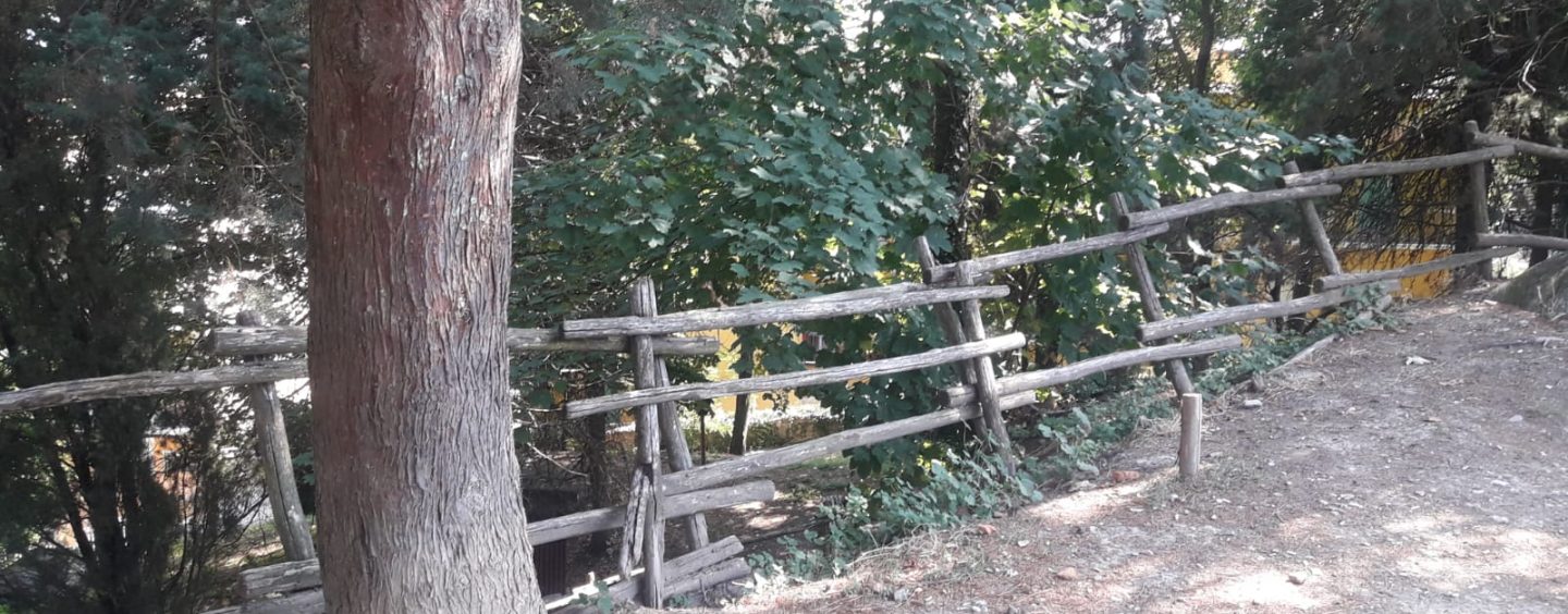 Giornate ecologiche ad Ariano, l’assessore Grasso pensa al boschetto: “Va riconsegnato ai cittadini”