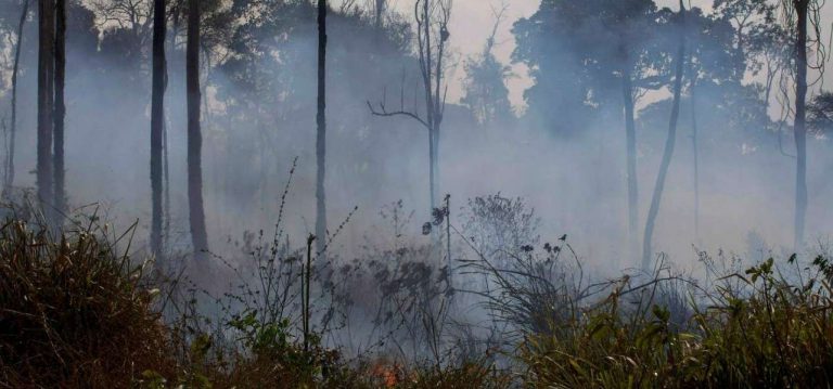 Incendi in Amazzonia, cosa rischia l’Irpinia?