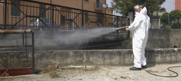 Ariano Irpino, intervento di derattizzazione: le istruzioni per i cittadini