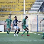 cavese-avellino-charpentier