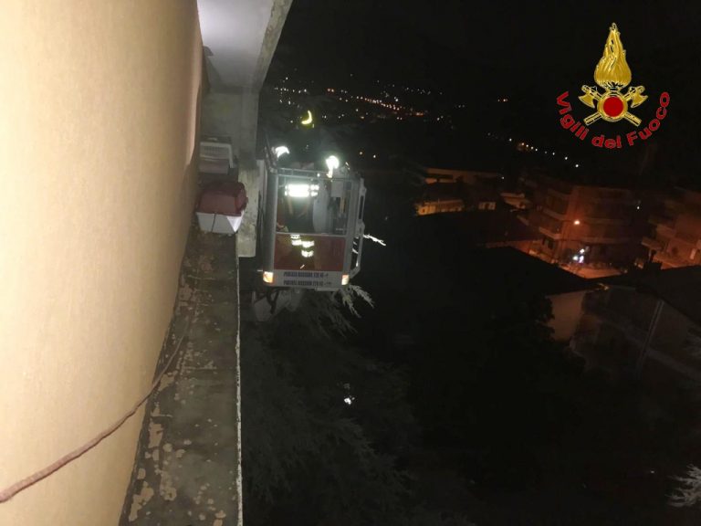 VIDEO-FOTO/ Gattino cade dal balcone e resta in bilico sul cornicione di un palazzo: salvato dai Vigili del Fuoco
