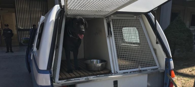FOTO/ Allarme bomba rientrato al Tribunale: sul posto le unità Cinofile