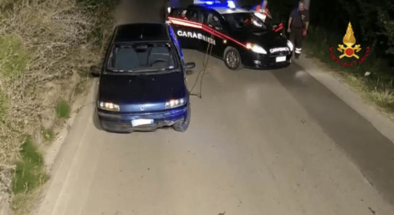 Cinghiale finisce sotto un’auto sulla SP 185, salvato