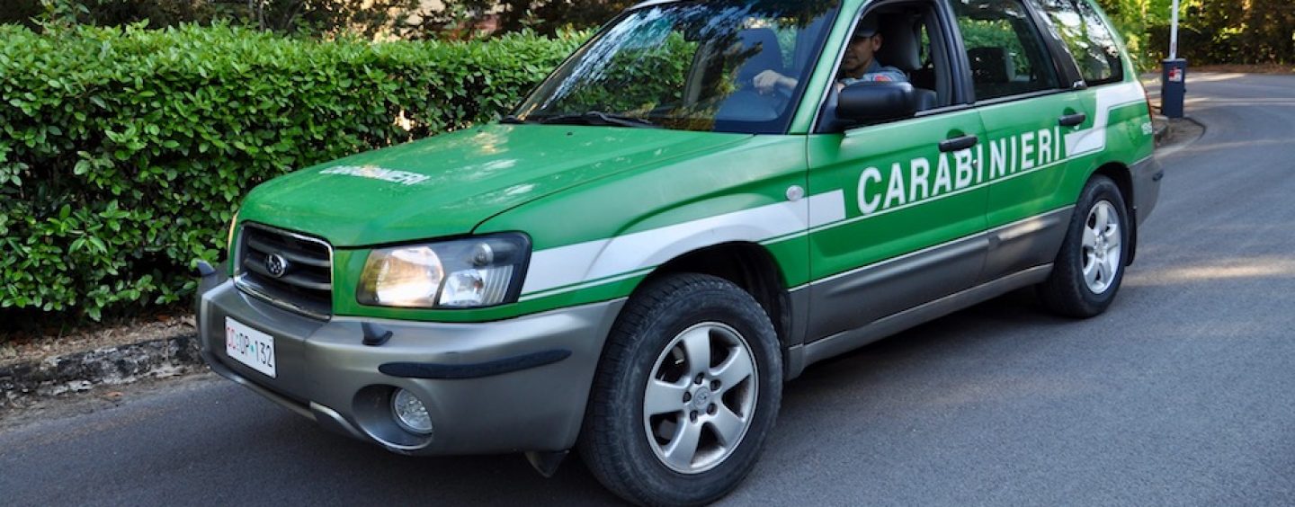 Trasporto di animali, i carabinieri forestali denunciano 4 persone della provincia di Salerno
