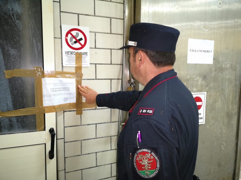 Benevento: liquidi della macellazione nel piazzale, carabinieri forestali sequestrano allevamento
