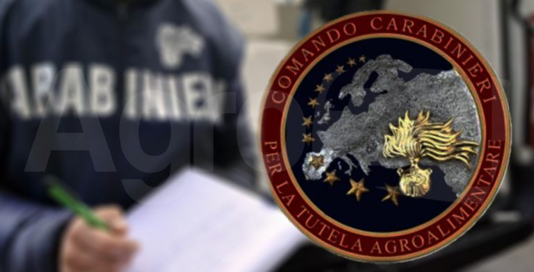Carabinieri sequestrano 315 tonnellate cereali contraffatti a Napoli e Avellino