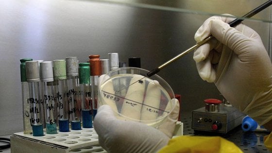 Khalili e Ferrante, gli scienziati che hanno eliminato l’Hiv dal Dna di topi geneticamente modificati ospiti in Irpinia