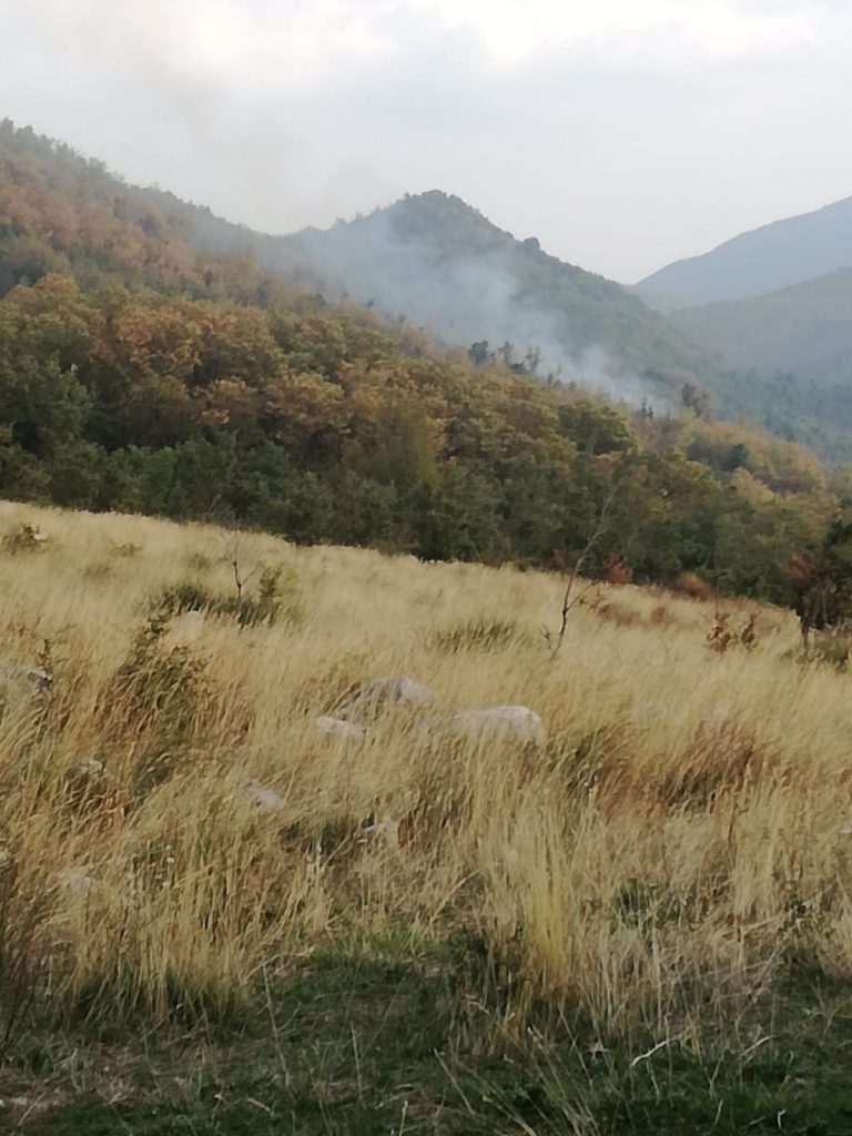 Ancora incendi in Irpinia, fiamme a Mugnano del Cardinale