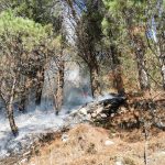 incendio avella