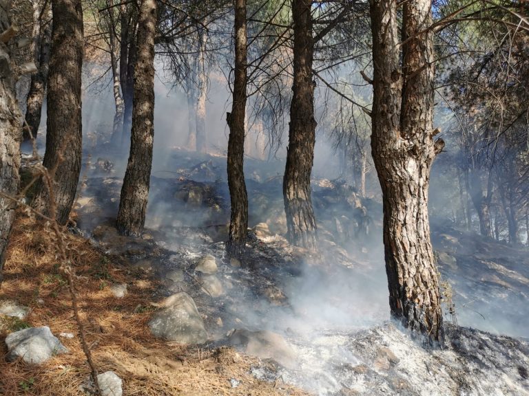 Ancora incendi in Irpinia: fiamme ad Avella