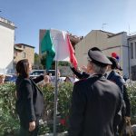 lauro 8