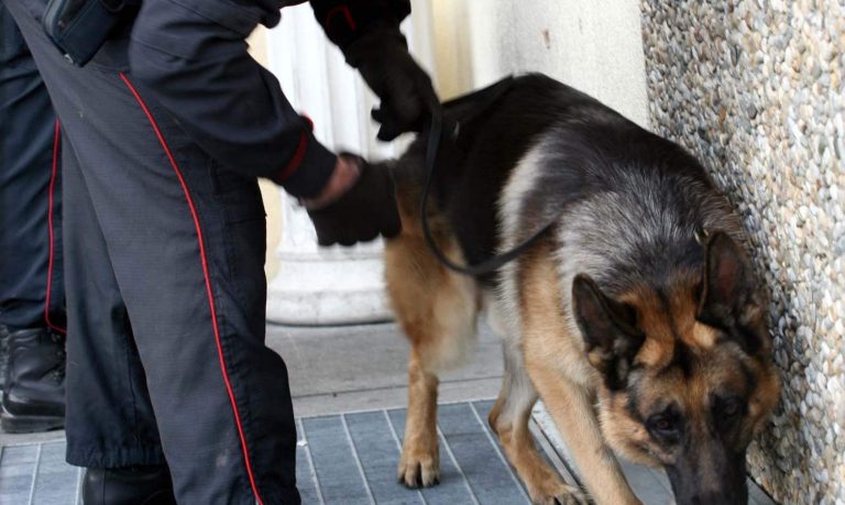 Fontanarosa, 40enne con droga in casa: la lancia dalla finestra ma viene beccata