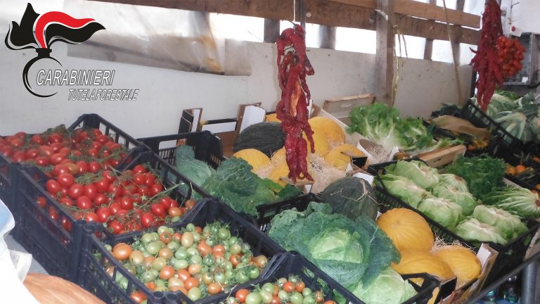 Sicurezza alimentare, irregolarità a Montemarano: scattano le sanzioni