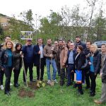 5 stelle maraia sibilia
