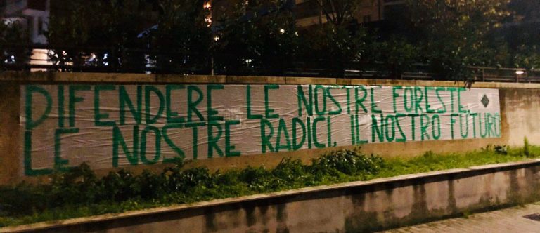La Festa dell’albero secondo Casapound: “Difendiamo le nostre foreste”