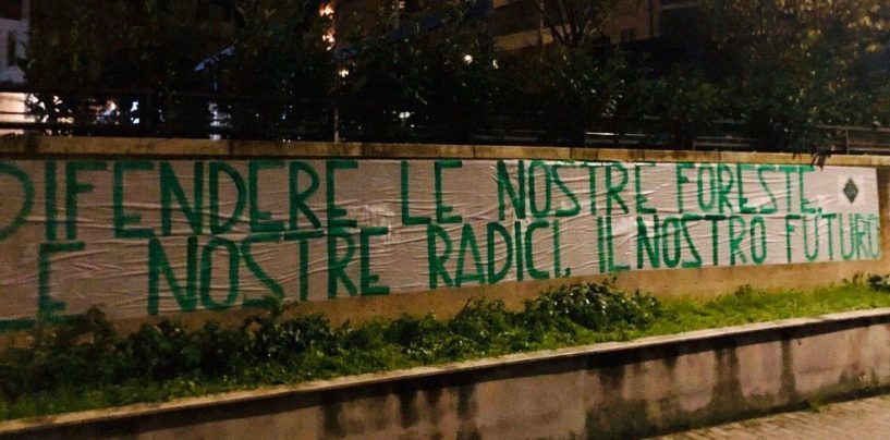 La Festa dell’albero secondo Casapound: “Difendiamo le nostre foreste”