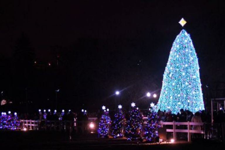 A Caposele l’albero di Natale più alto e solidale d’Europa