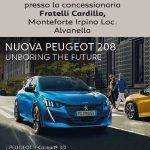 banner cardillo