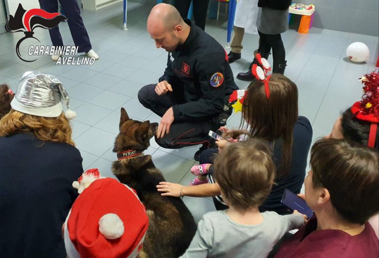 FOTO/ Carabinieri, il cane “Pirat” porta un sorriso anche ai bimbi del “Frangipane”