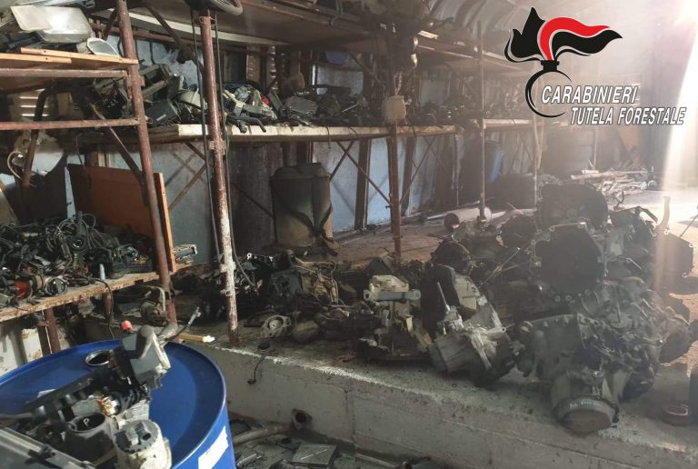 Gestione illecita di rifiuti: i carabinieri forestali denunciano il titolare di un’officina meccanica