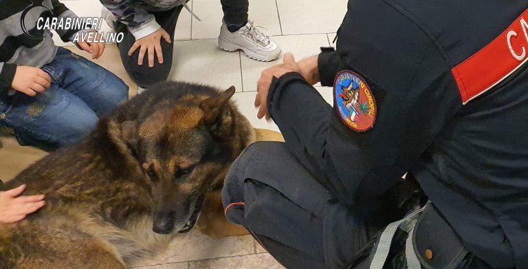 FOTO/ Brigi e Pirat portano un sorriso ai bimbi di Pediatria del “Landolfi”