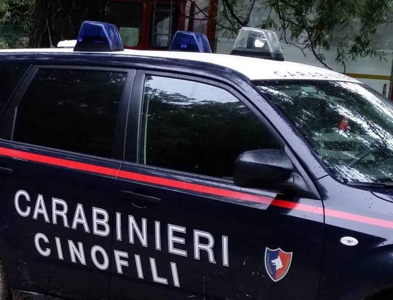 Scovata discarica a cielo aperto a Domicella: nei guai proprietario del terreno