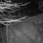 94E8E60D-1639-4370-94B0-B25843DDEA92