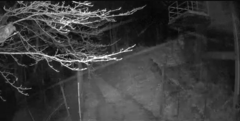 Temperature in picchiata: ecco i primi fiocchi di neve a Montevergine