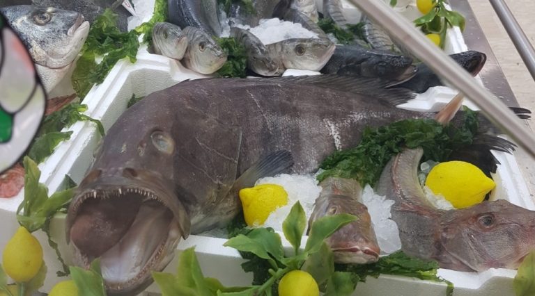 Controlli sul pesce e altri prodotti di Natale: scattano sequestri e maxi-sanzioni