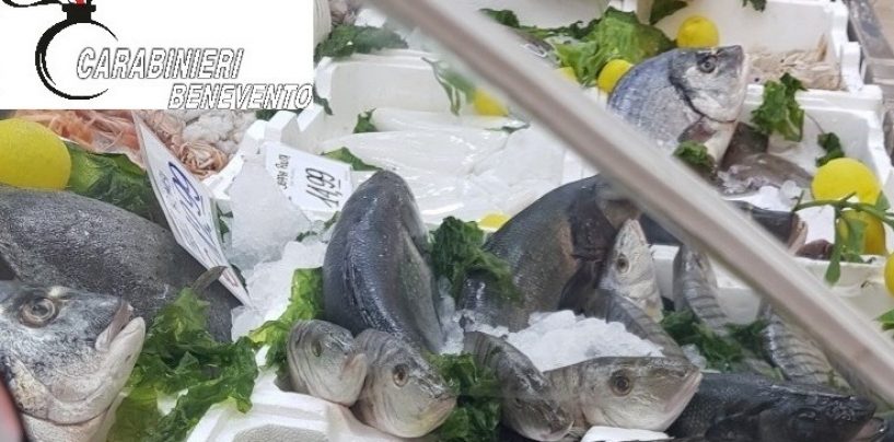 Pesce mal conservato, sequestro da 300mila euro dei carabinieri