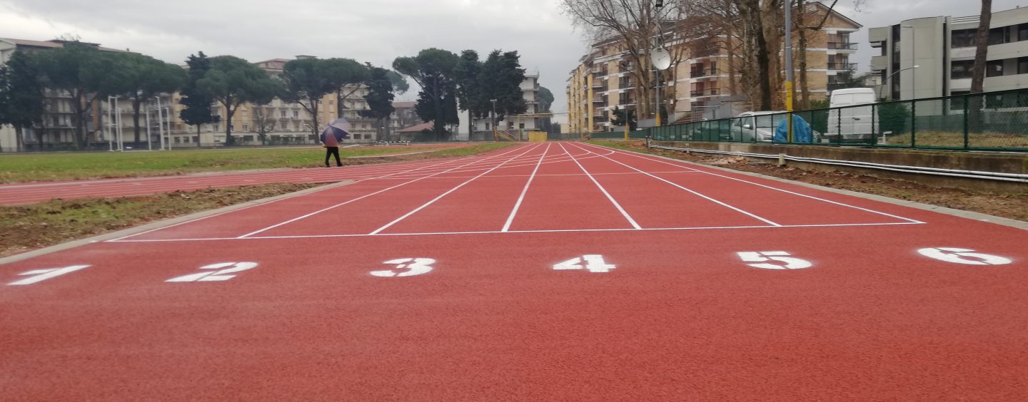 FOTO / Campo Coni, ecco i lavori effettuati. Saviano: “L’altro giorno è caduto un albero, situazione da monitorare”