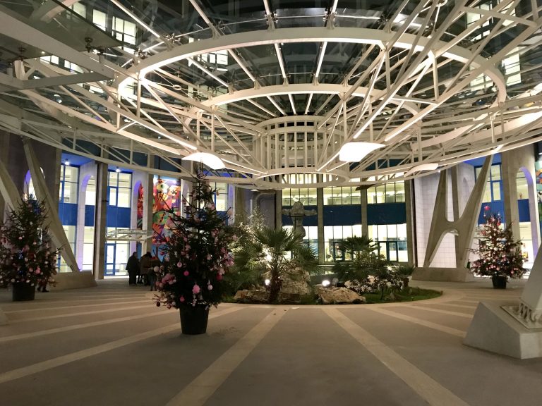 Christmas Bubbles rosa, questo pomeriggio si terrà l’accensione degli alberi di Natale all’ospedale Moscati