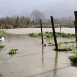 foto danni allagamenti campania 22 dicembre 2019 (10)