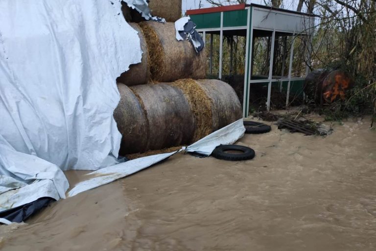 FOTO / Valle Caudina: il maltempo mette in ginocchio anche l’agricoltura