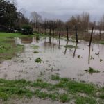 foto danni allagamenti campania 22 dicembre 2019 (9)
