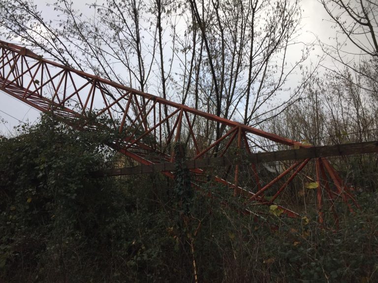 Maltempo a Montella: albero si abbatte sui cavi dell’energia elettrica