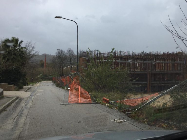 FOTO / Cade albero davanti Tribunale, “vola” una gru a Picarelli: il day after di Avellino
