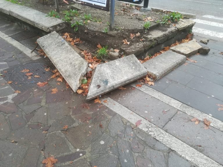 Video / Degrado a viale Italia, Genovese: ” A Primavera cambierà il volto della zona “