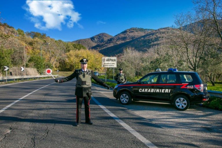 Minacce e violenza, rende alla madre la vita impossibile: 25enne nei guai