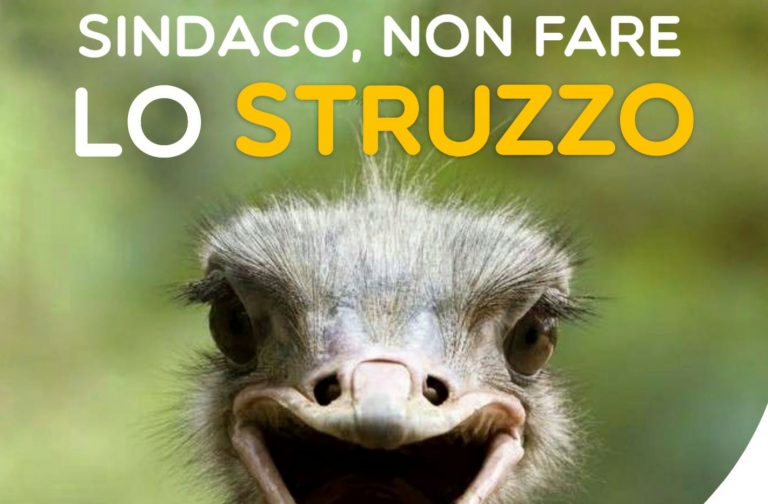 Emergenza inquinamento, Piu Europa Avellino: le istituzioni non nascondano la testa sotto la sabbia