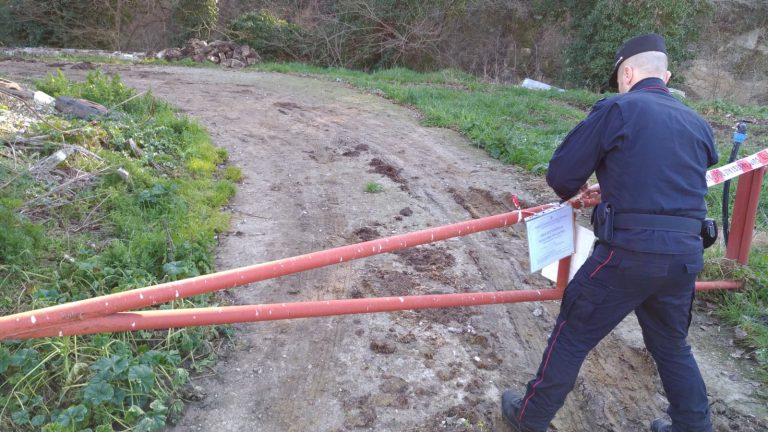 Apice, i carabinieri forestali sequestrano un allevamento di polli