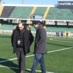 Musa_circelli