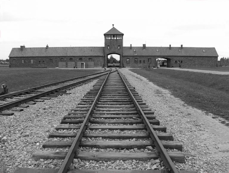 “Ciò che resta della memoria”, la follia nazista nelle foto degli alunni del “Mancini”