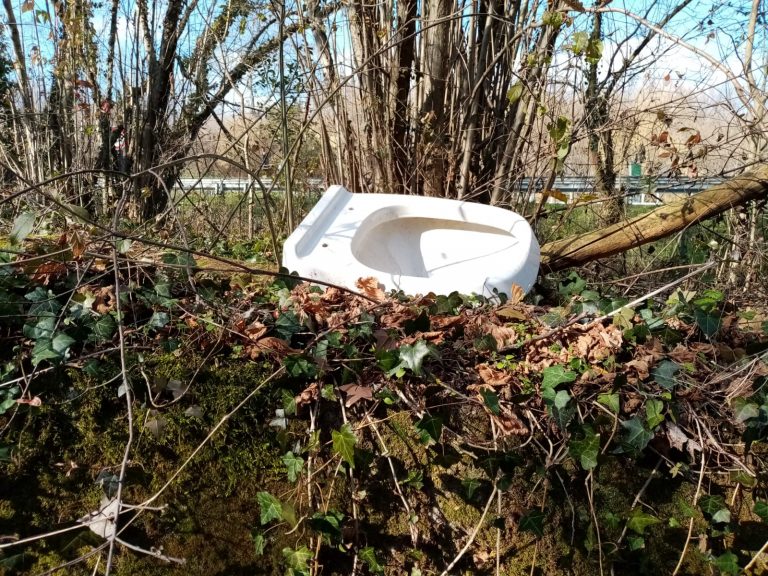 Video / La strada della vergogna tra rifiuti e vegetazione fuori misura si trova in una traversa di via Annarumma