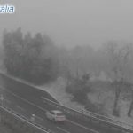 neve a16